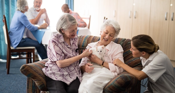 Taller ocupacional v2